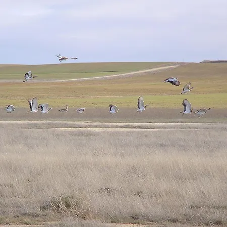 Athlanta Villalpando