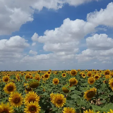 Athlanta Villalpando