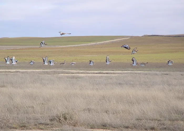 Athlanta Villalpando