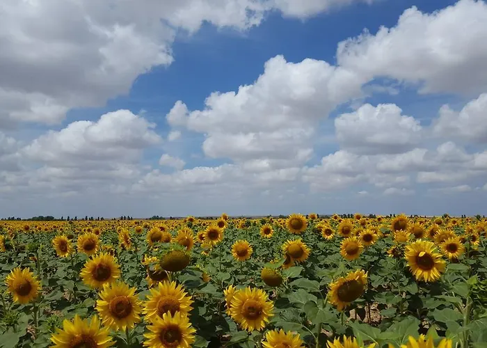 Athlanta Villalpando